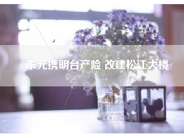 東元攜明臺產險 改建松江大樓