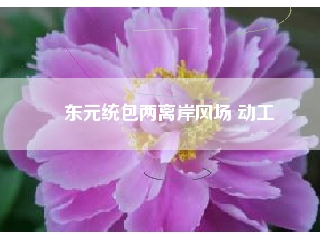 東元統包兩離岸風場 動工