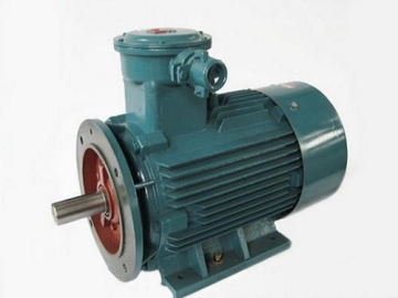 防爆電機驗收時除了銘牌外，還要注意哪些？