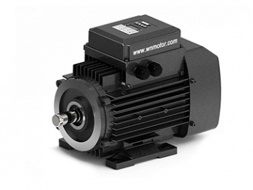 YZNP2系列智能控制三相異步電動(dòng)機(jī)