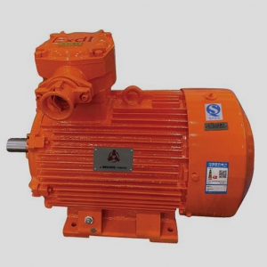 低壓煤礦井下用隔爆型三相異步電動機(jī)