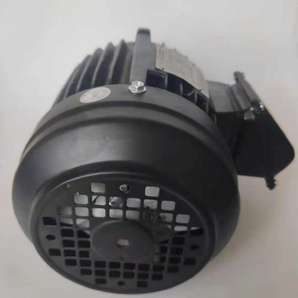 永磁電機 DVEX  55KW  1000RPM  F#250M IE4效率電機